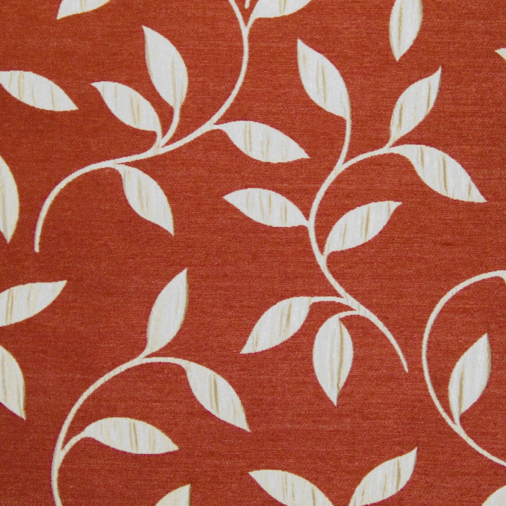 Cardinal